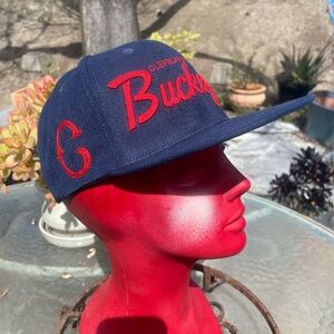 Navy and Red Buckeyes Cap